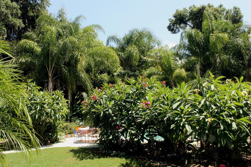 Heron Cay Lakeview Bed & Breakfast Mount Dora Eksteriør billede