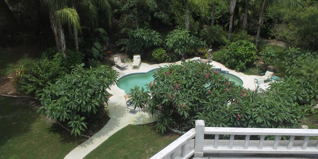 Heron Cay Lakeview Bed & Breakfast Mount Dora Eksteriør billede