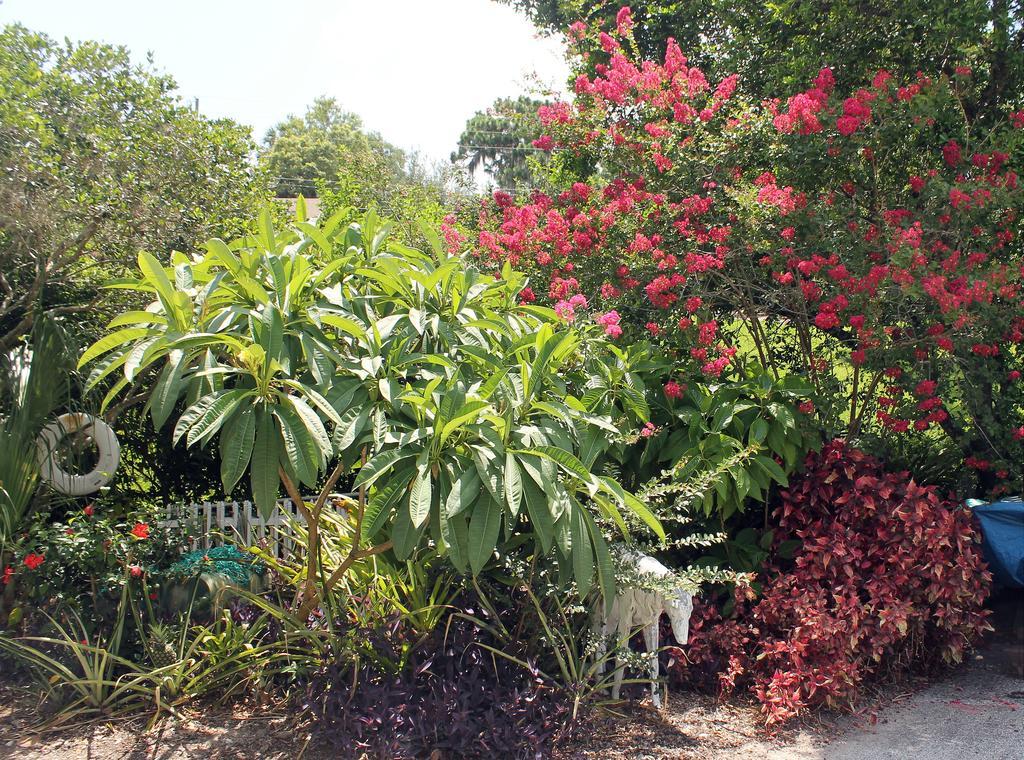 Heron Cay Lakeview Bed & Breakfast Mount Dora Eksteriør billede