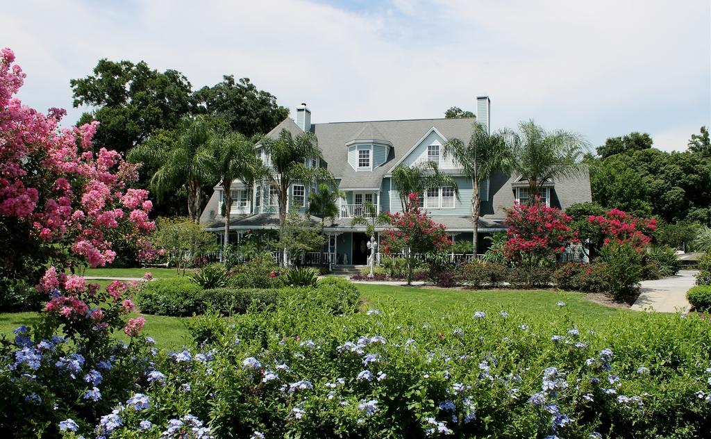 Heron Cay Lakeview Bed & Breakfast Mount Dora Eksteriør billede